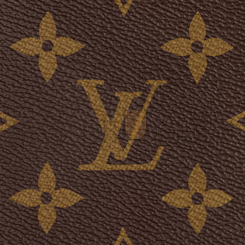 LOUIS VUITTON MULTI POCHETTE ACCESSOIRES M44840 (24*13.5*4cm)